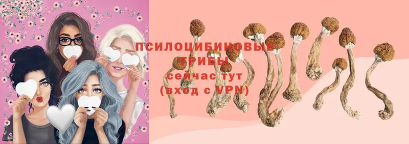 Галлюциногенные грибы MAGIC MUSHROOMS  Мамоново 